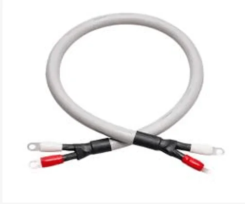 Low Inductance Cable (TL02-PLZ)